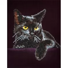 midnight cat - diamond dotz intermediate dd5.001