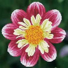 daisy-a-day - diamond dotz intermediate dd5.040 30x30.5cm