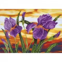 iris sunset - diamond dotz intermediate dd9.016 50.8x40.6cm