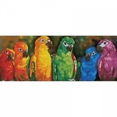 rainbow parrots - diamond dotz intermediate dd10.025 77x30cm