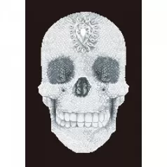 crystal skull - diamond dotz intermediate dd10.021 42x60cm