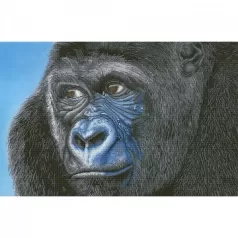kibali western lowlands gorilla - diamond dotz advanced dd15.018 100x65cm