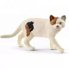 gatto americano a pelo corto