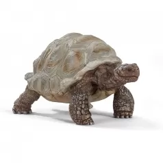 tartaruga gigante