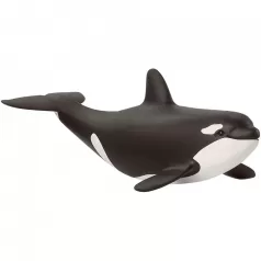 orca cucciolo