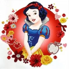 snow white's world - diamond dotz cd851000207 40x40cm