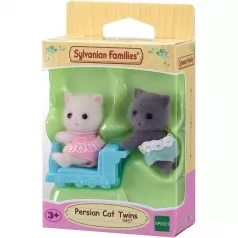 gemelli gatto persiano