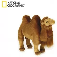 cammello bactrian - peluche 30cm national geographic