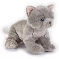 british shorthair kitten - peluche 30cm