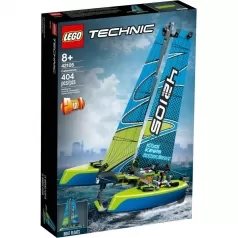 42105 - catamarano