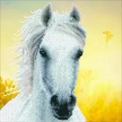 white horse - diamond dotz intermediate 50461 30,48x30,48cm