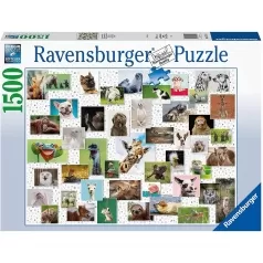 collage di animali divertenti - puzzle 1500 pezzi
