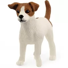 jack russel terrier