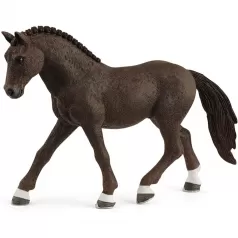 castrone di german riding pony
