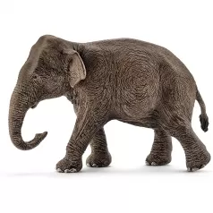 femmina di elefante asiatico