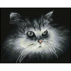 shadow cat say - diamond dotz squares dq7.002 32x25cm