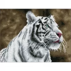 tiger blanc - diamond dotz squares dq8.007 41x31cm