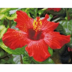 hibiscus in bloom - diamond dotz squares dq8.018 41x32cm