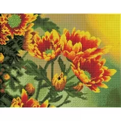 field daisies - diamond dotz squares dq9.001 45x35cm