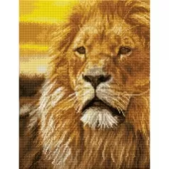 lord of the serengeti - diamond dotz squares dq9.002 35x45cm