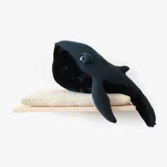 small night whale