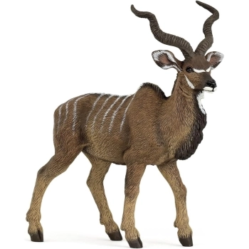 antilope kudu