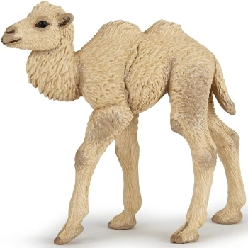 camel calf