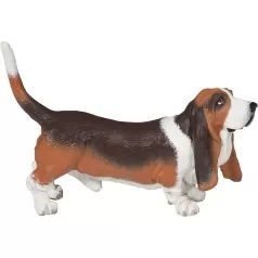 basset hound