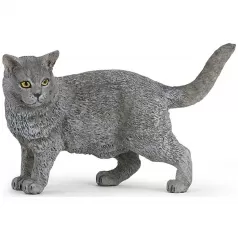 chartreux