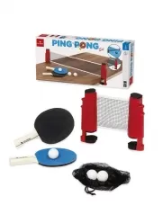 ping pong set