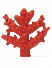 corallo rosso