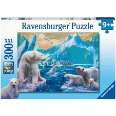 regno dell'orso polare - puzzle 300 pezzi xxl