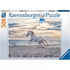 cavallo in spiaggia - puzzle 500 pezzi