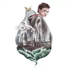 stampa originale - ritorno ad hogwarts 30x40cm  - gi/sa