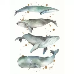 stampa originale - balene danzanti ad acquarello 30x40cm - gi/sa