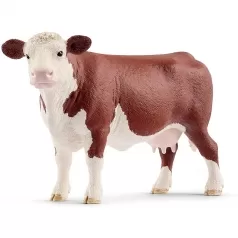 mucca hereford