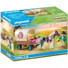 carrozza con pony