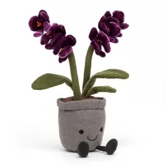 amuseable purple orchid - orchidea viola
