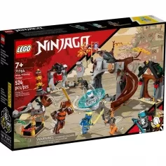 71764 - centro di addestramento ninja