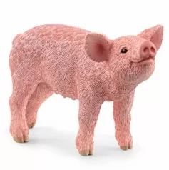 maialino