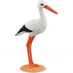 cicogna