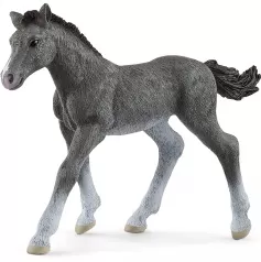puledro trakehner