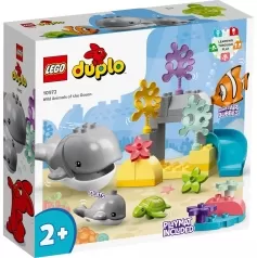 10972 - animali dell’oceano
