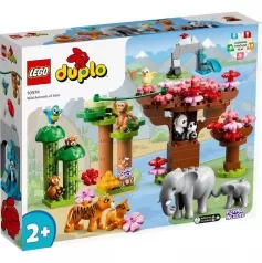 10974 - animali dell’asia