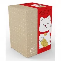 gatto della fortuna - luce notturna