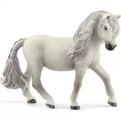 cavalla pony islandese