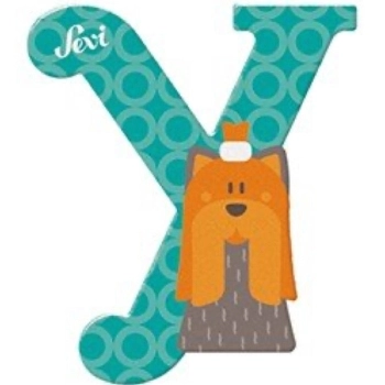 lettera y yorkshire terrier