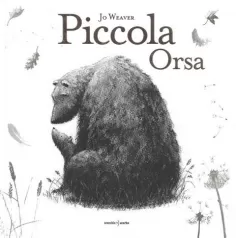piccola orsa