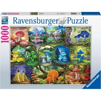 funghi incantevoli - puzzle 1000 pezzi
