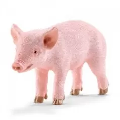maialino in piedi
